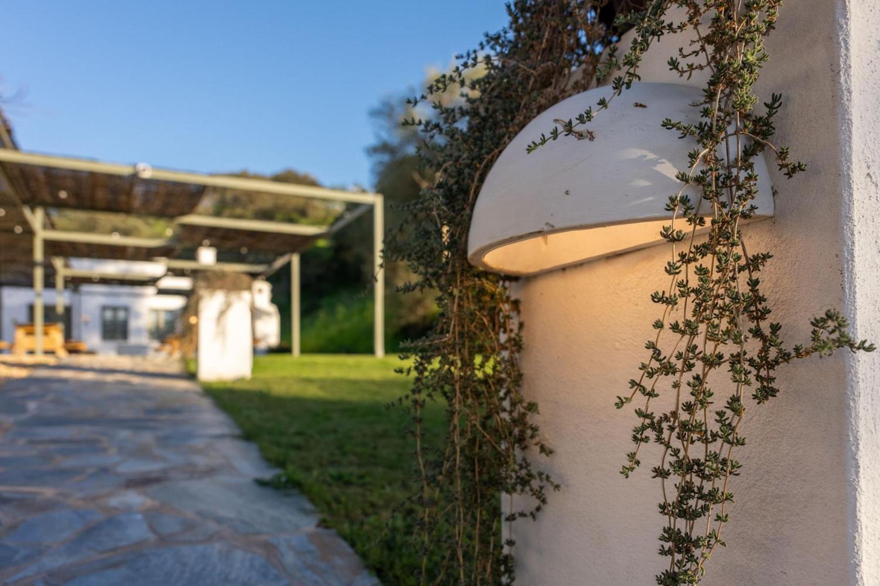 Apartamentos, Finca Contrabando Sanlucar Del Guadiana, Huelva Sanlúcar de Guadiana Eksteriør bilde